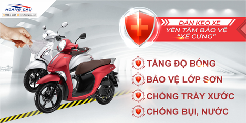 DỊCH VỤ DÁN KEO XE