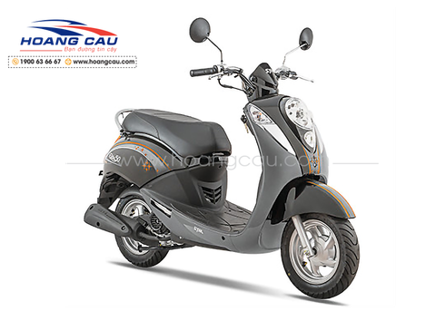 ELITE 50cc